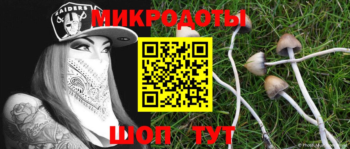 Псилоцибиновые грибы Cubensis Луховицы