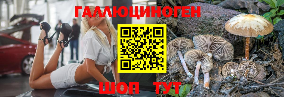 Псилоцибиновые грибы Луховицы
